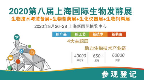 10套化工流程圖、布置圖及設備圖在互聯(lián)網(wǎng)接入及相關服務領域的應用與價值